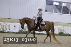 25R13_03160 thumbnail