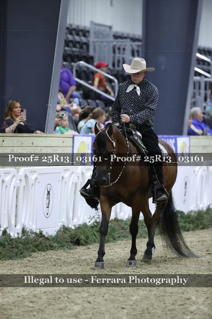 Proof Number 25R13_03161