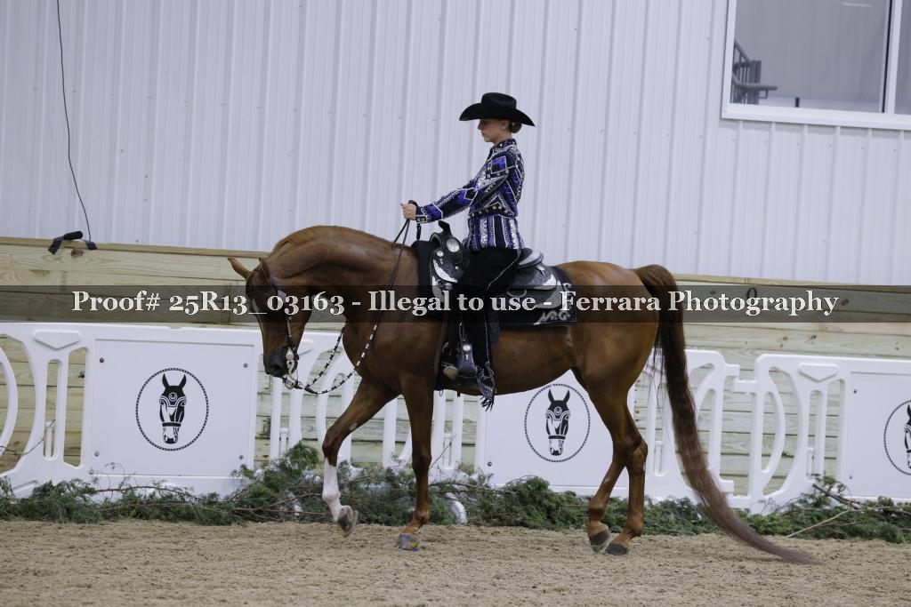 Proof Number 25R13_03163