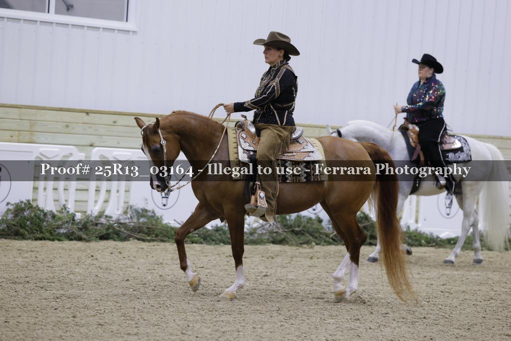 Proof Number 25R13_03164