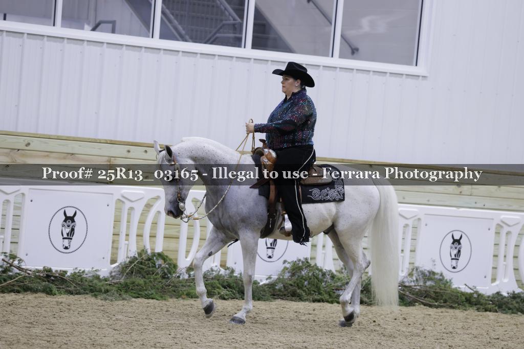 Proof Number 25R13_03165