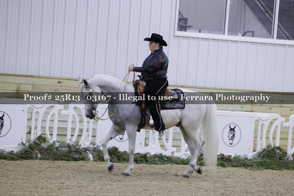 Proof Number 25R13_03167