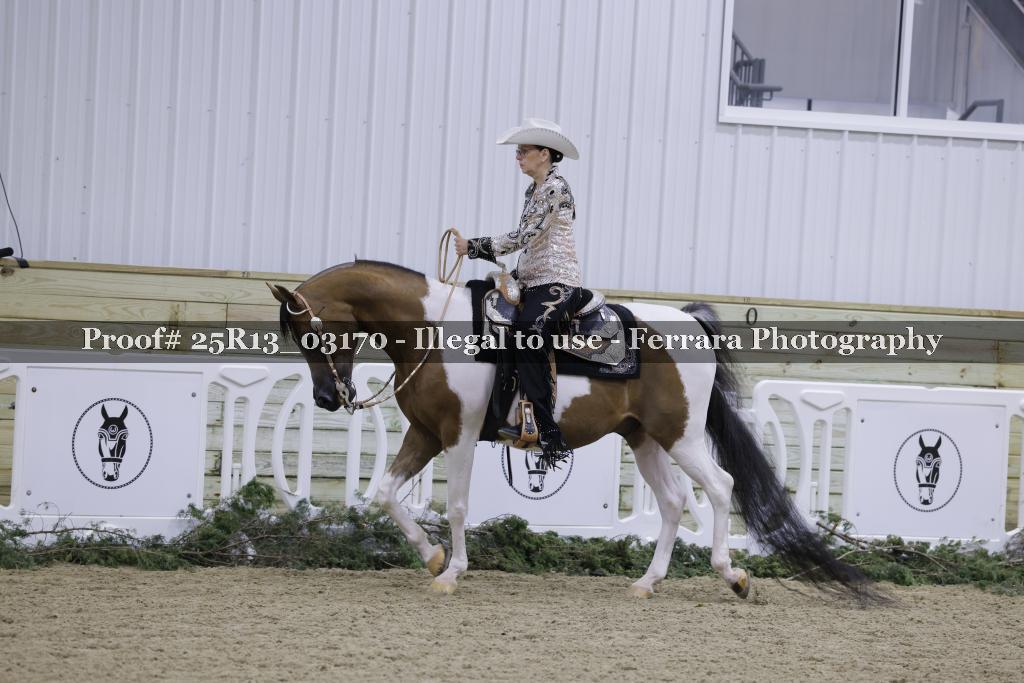 Proof Number 25R13_03170