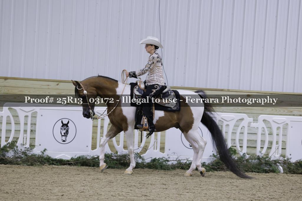 Proof Number 25R13_03172