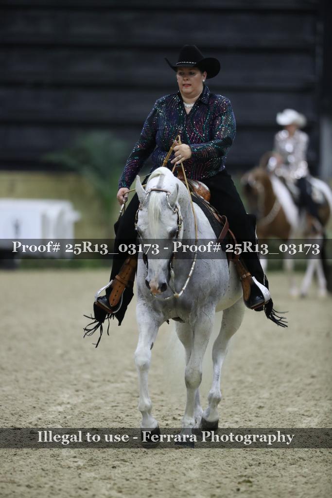 Proof Number 25R13_03173