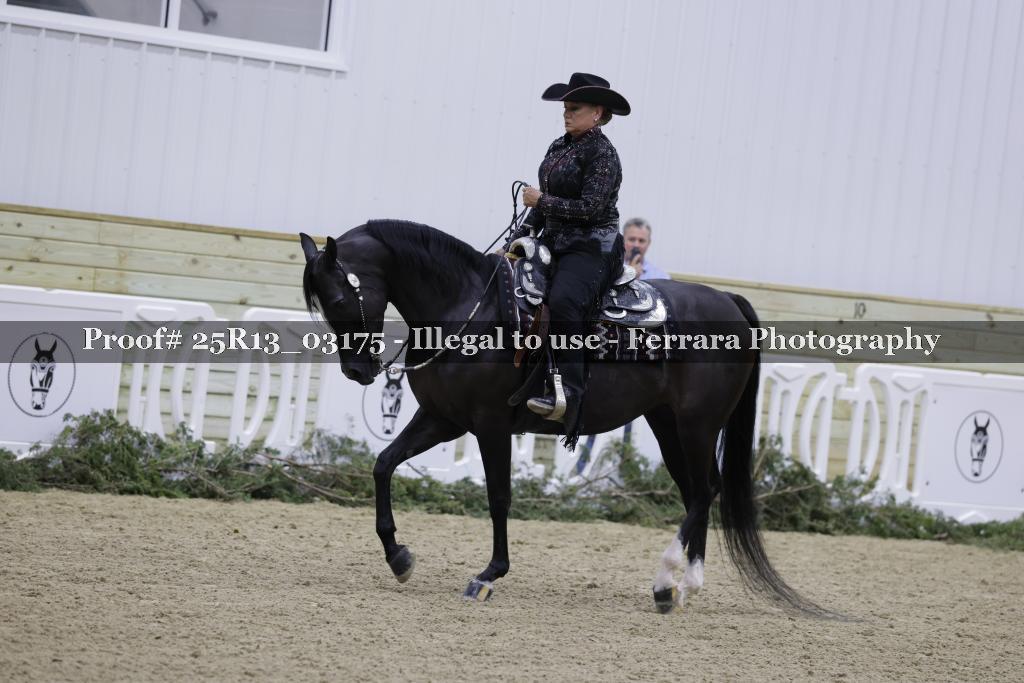Proof Number 25R13_03175