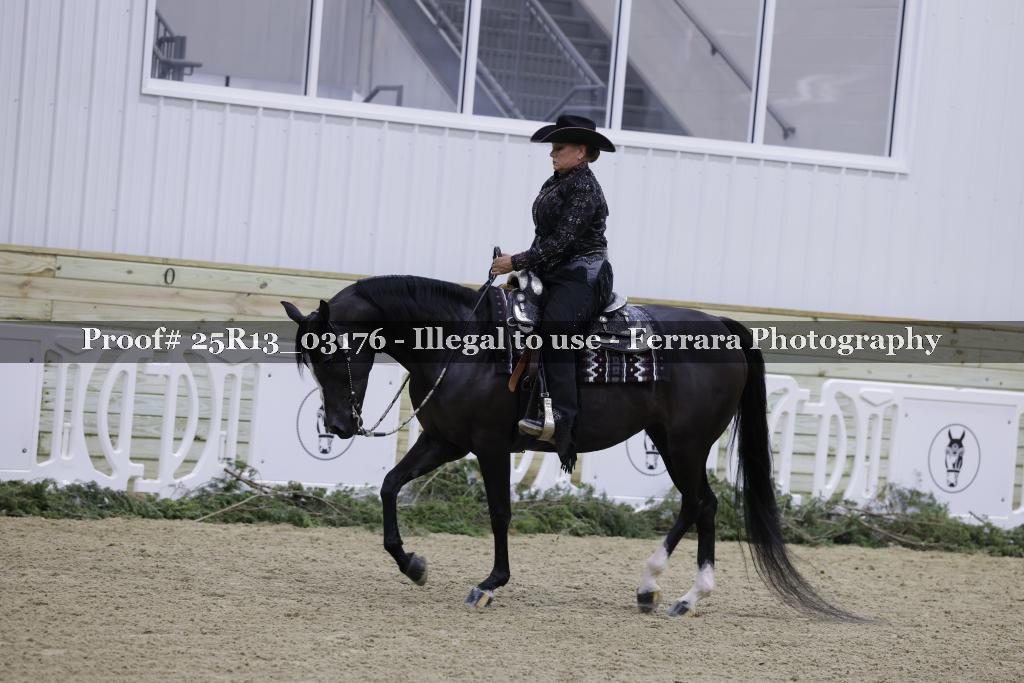 Proof Number 25R13_03176