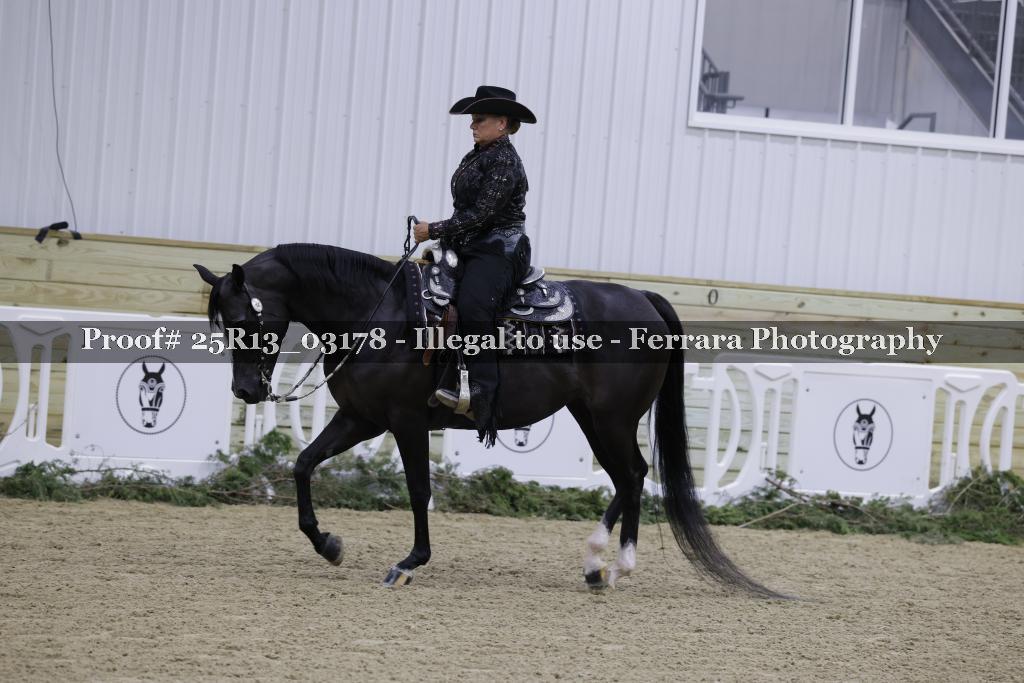 Proof Number 25R13_03178