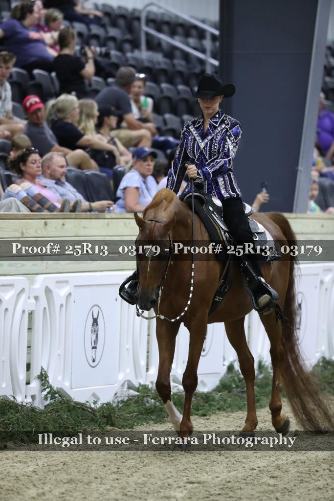 Proof Number 25R13_03179