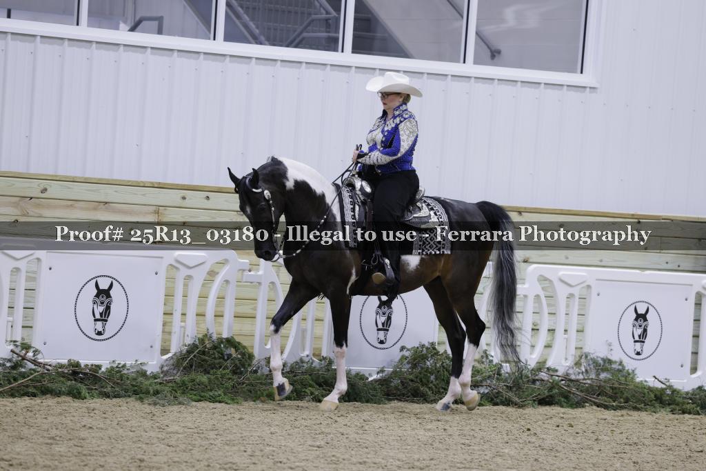 Proof Number 25R13_03180