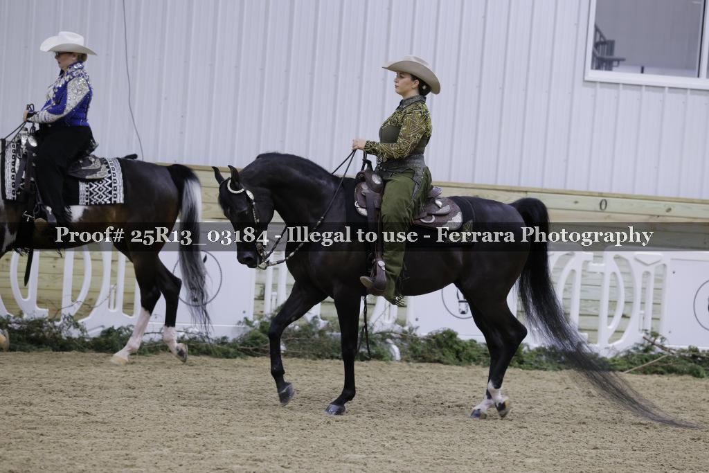 Proof Number 25R13_03184