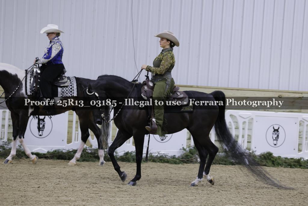 Proof Number 25R13_03185