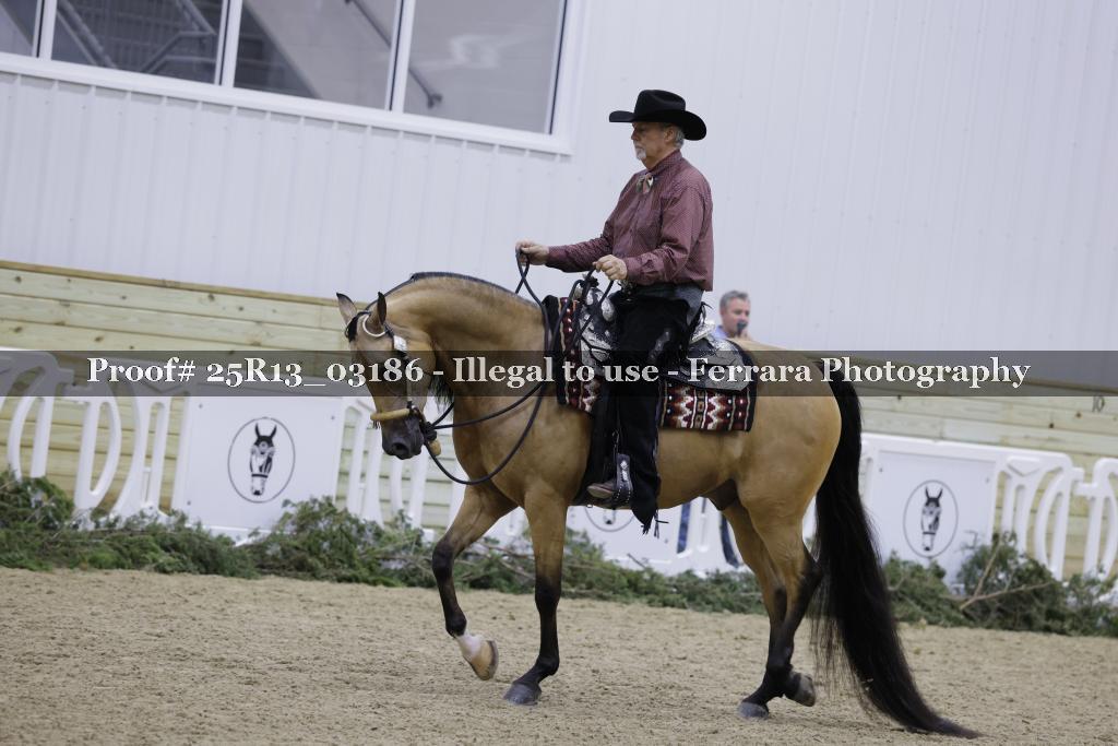 Proof Number 25R13_03186