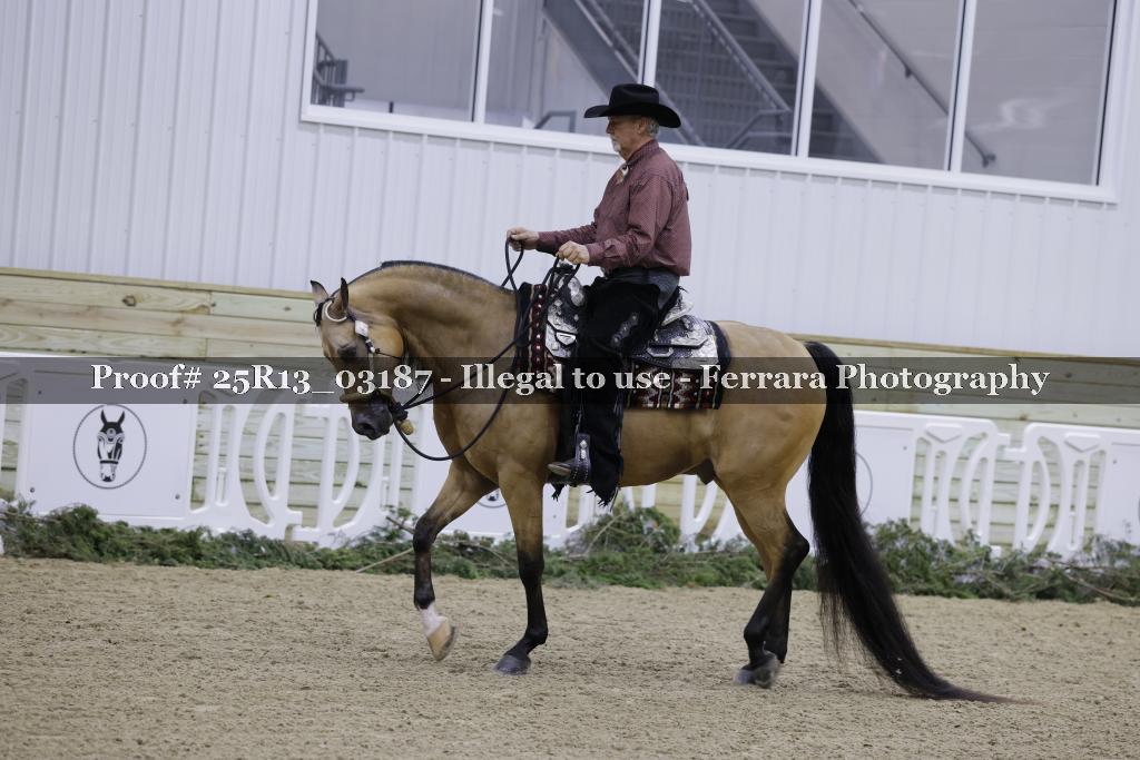 Proof Number 25R13_03187