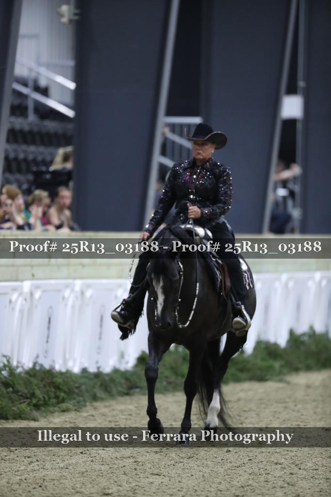 Proof Number 25R13_03188