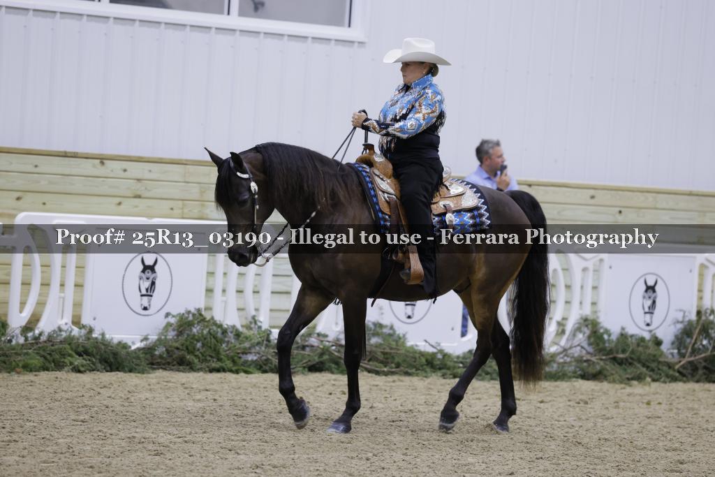 Proof Number 25R13_03190