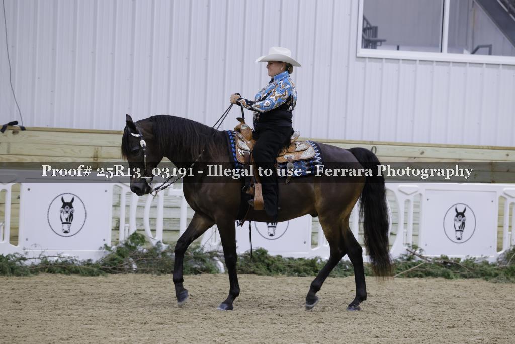 Proof Number 25R13_03191