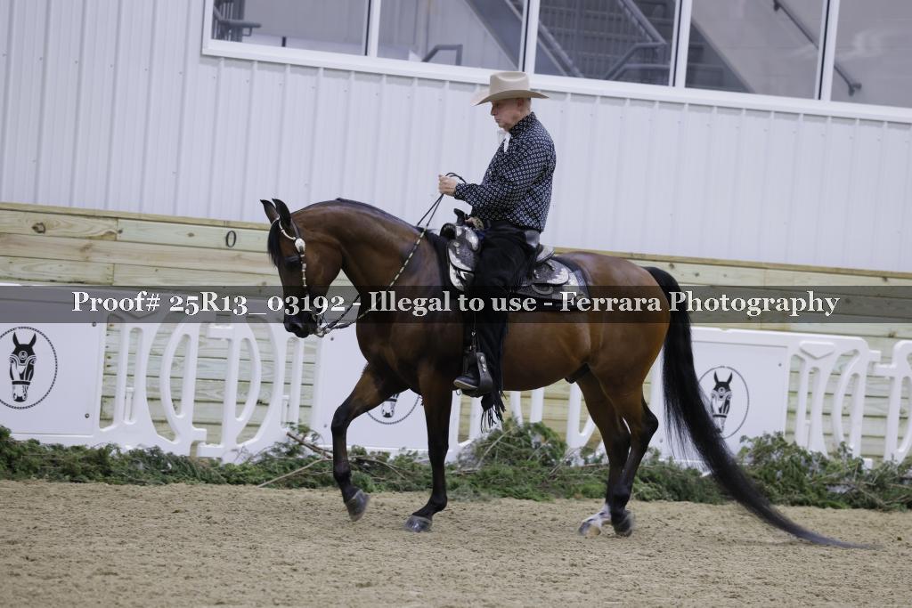 Proof Number 25R13_03192