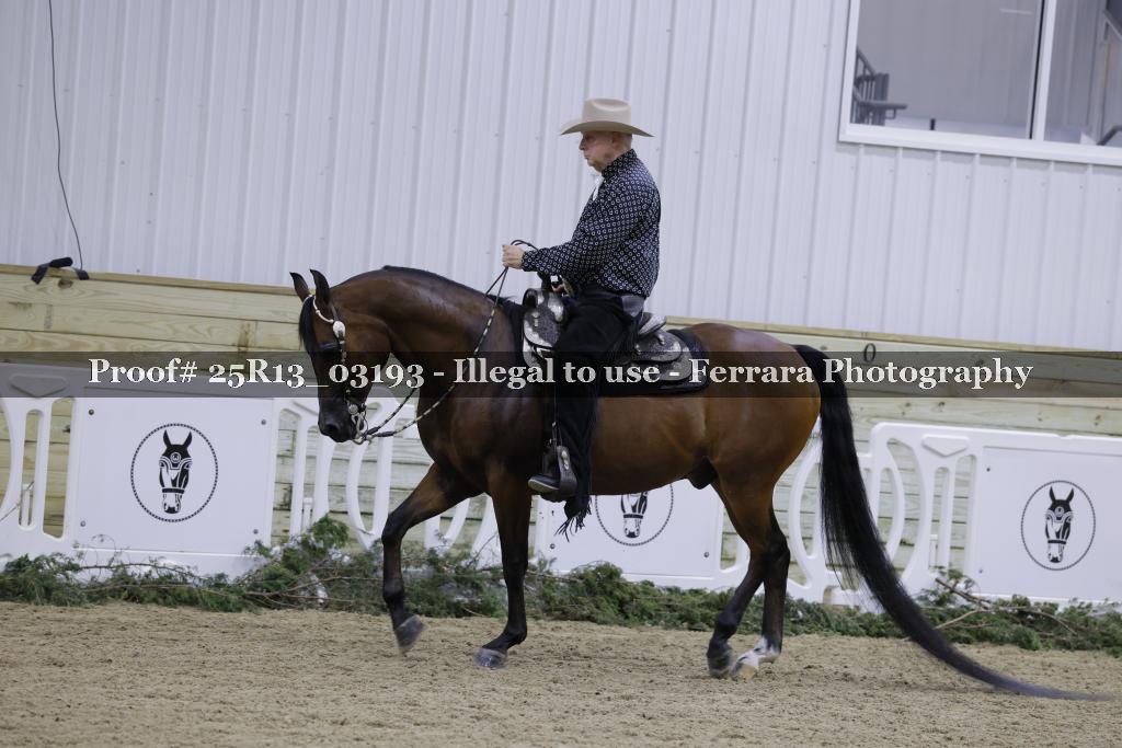 Proof Number 25R13_03193