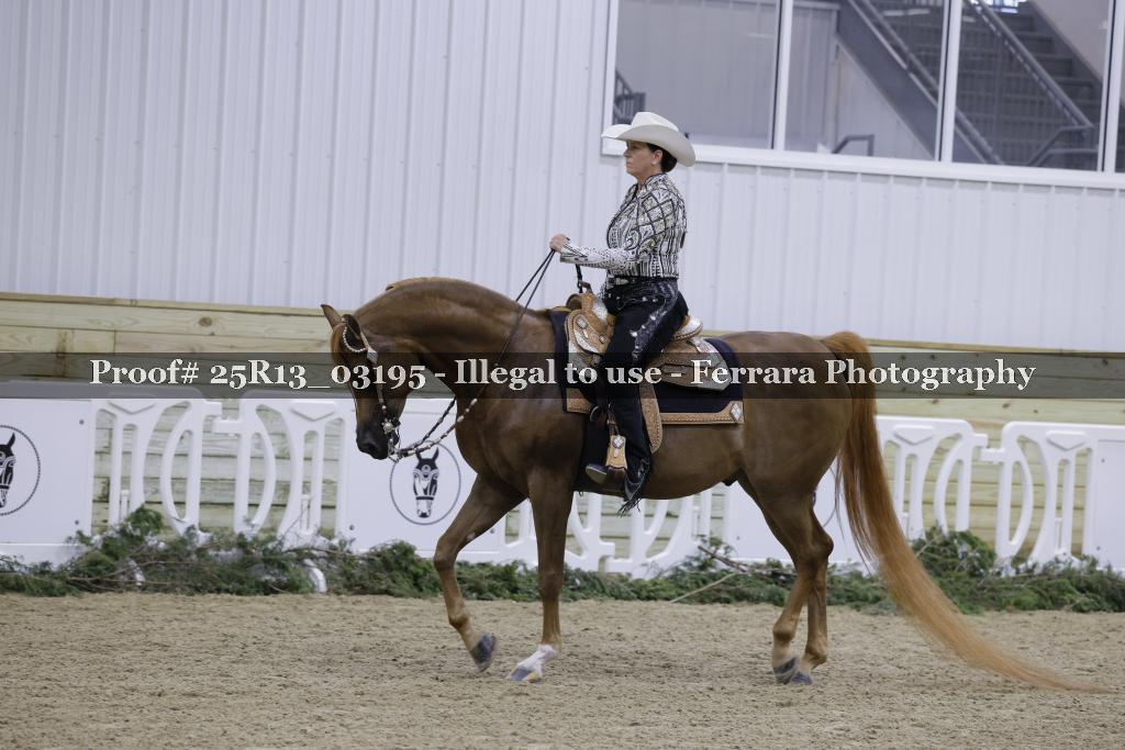 Proof Number 25R13_03195