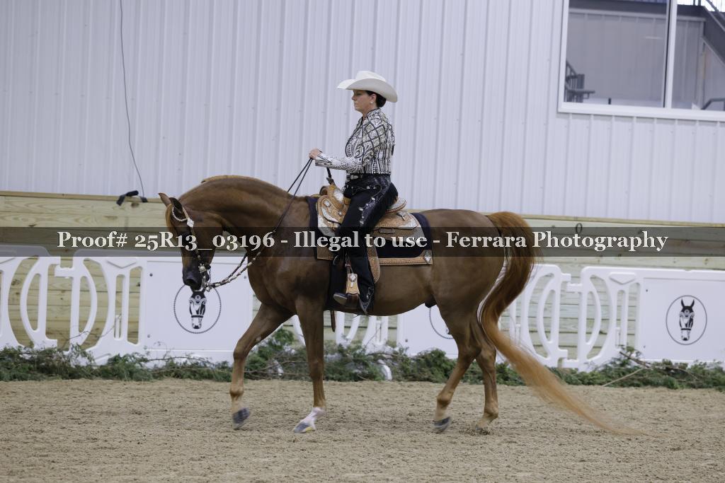 Proof Number 25R13_03196