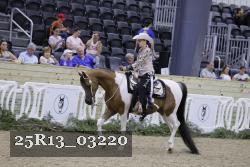25R13_03220 thumbnail