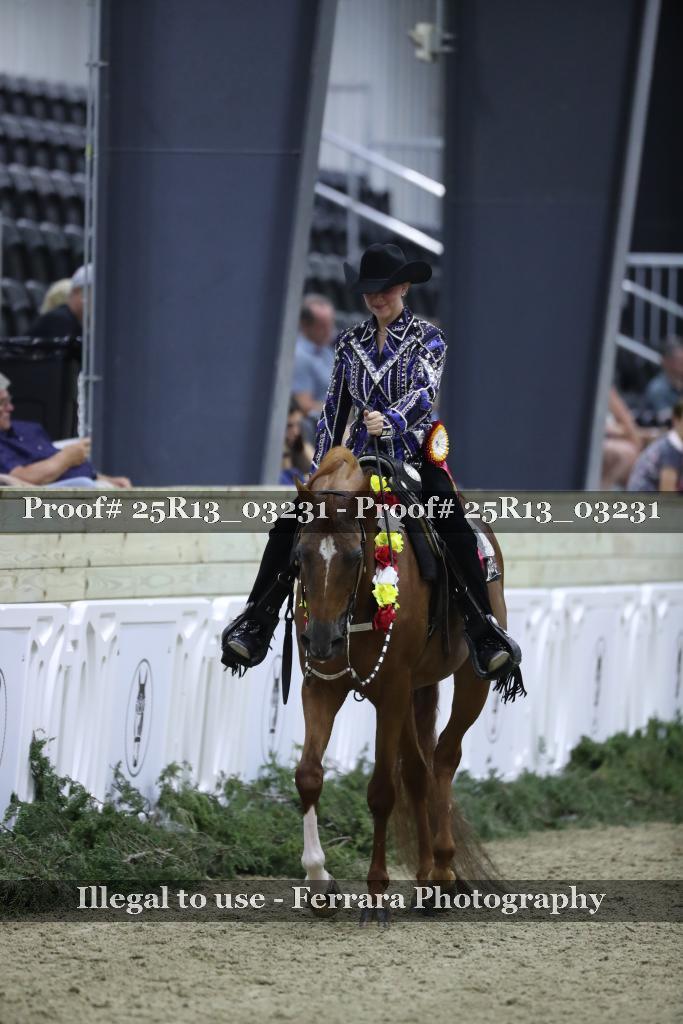 Proof Number 25R13_03231