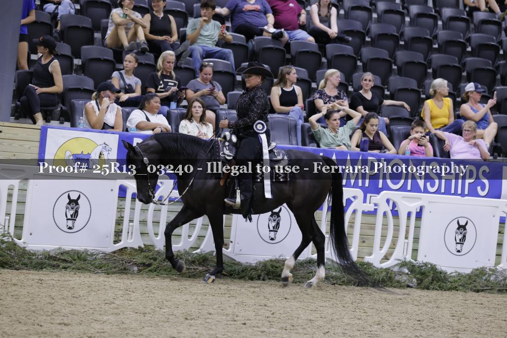 Proof Number 25R13_03240