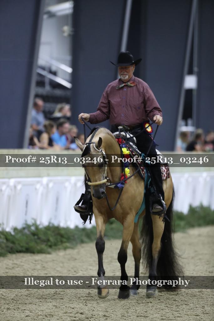 Proof Number 25R13_03246