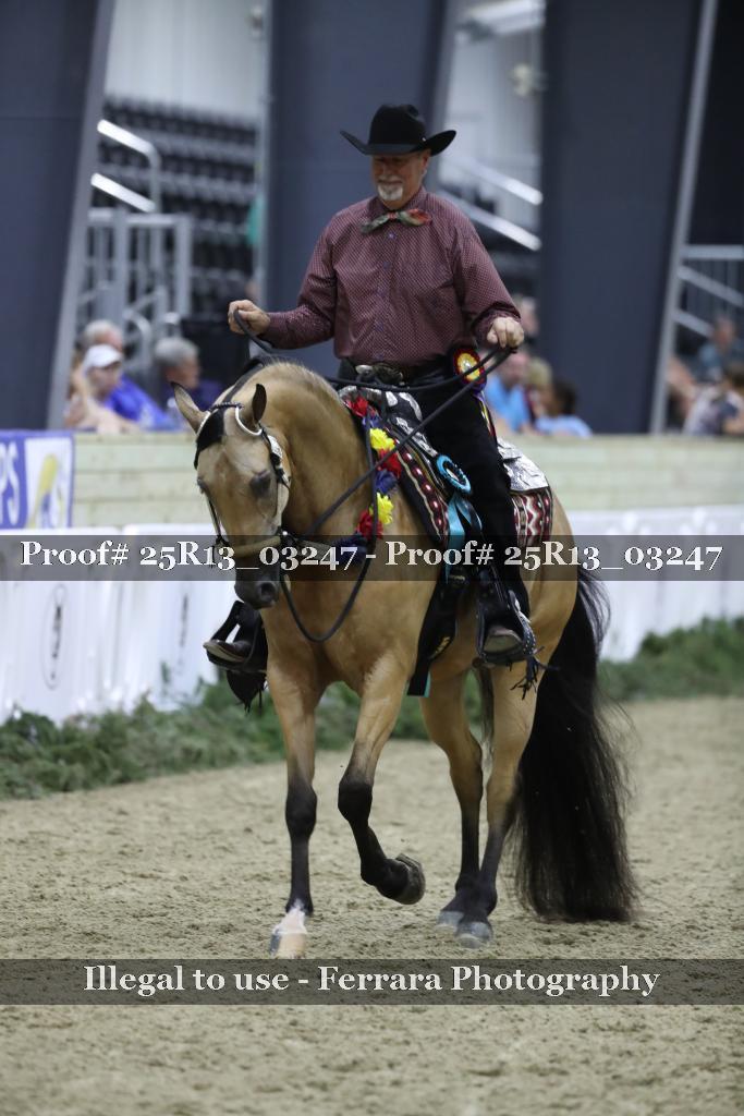 Proof Number 25R13_03247