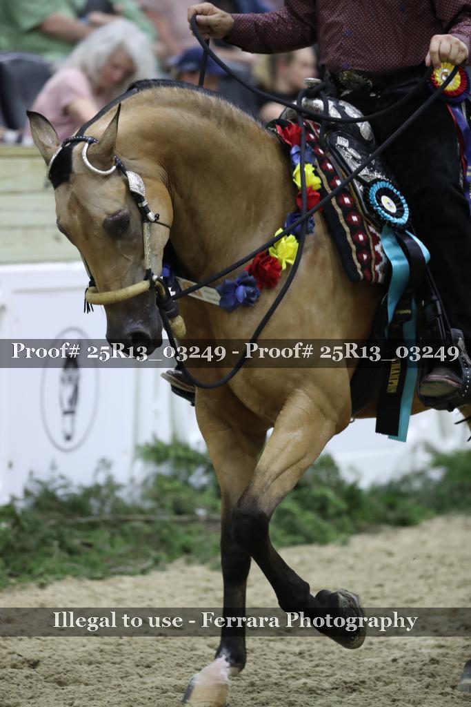Proof Number 25R13_03249