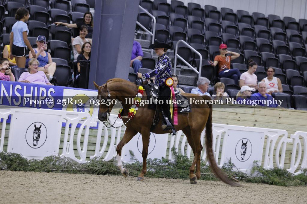 Proof Number 25R13_03250