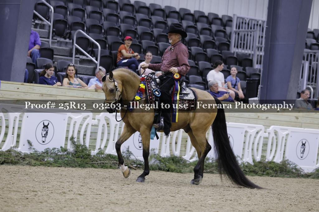 Proof Number 25R13_03263