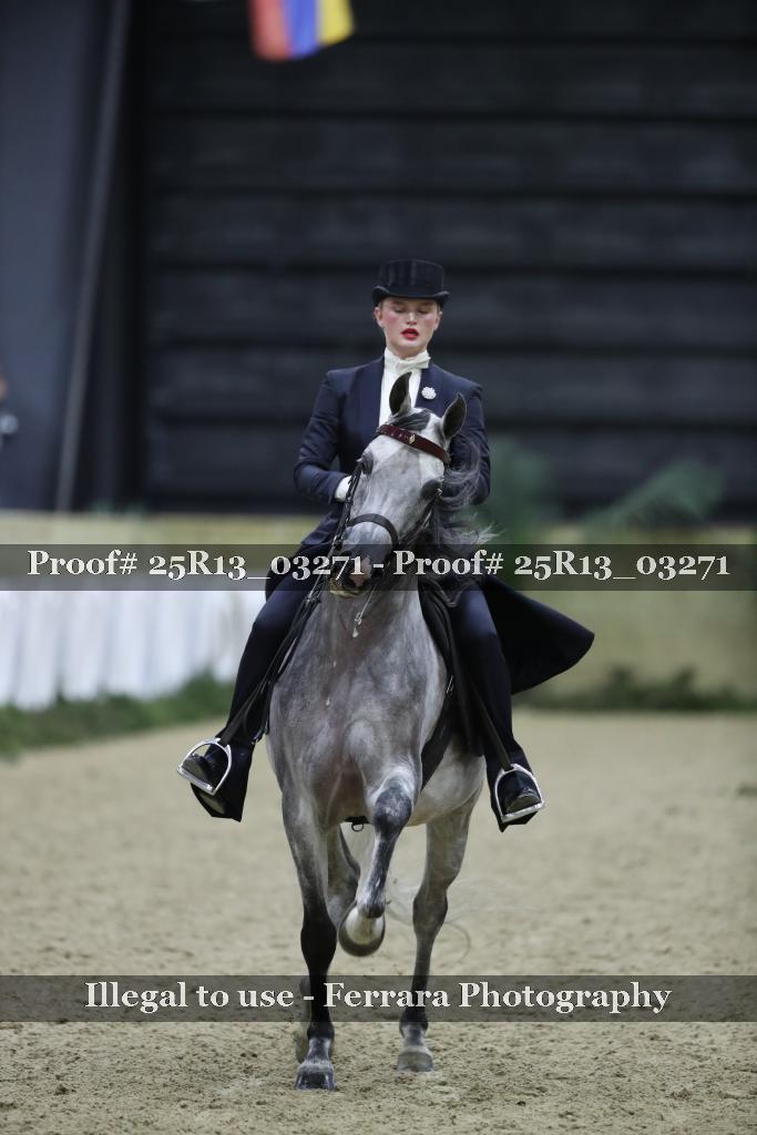 Proof Number 25R13_03271