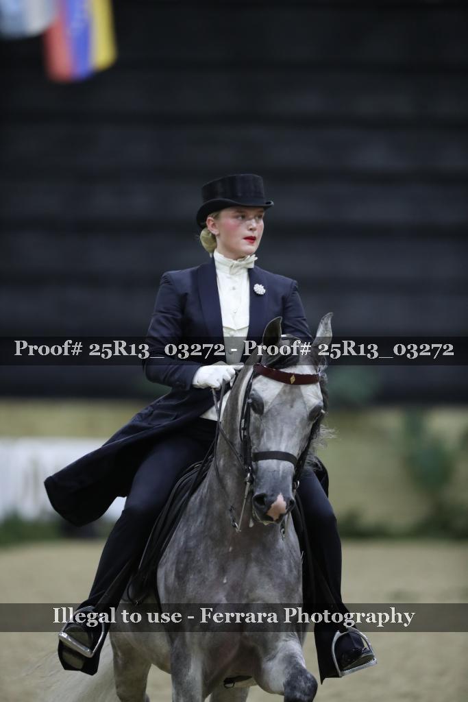 Proof Number 25R13_03272
