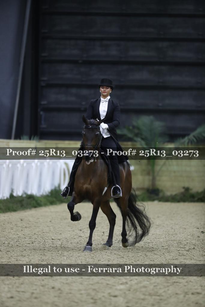 Proof Number 25R13_03273
