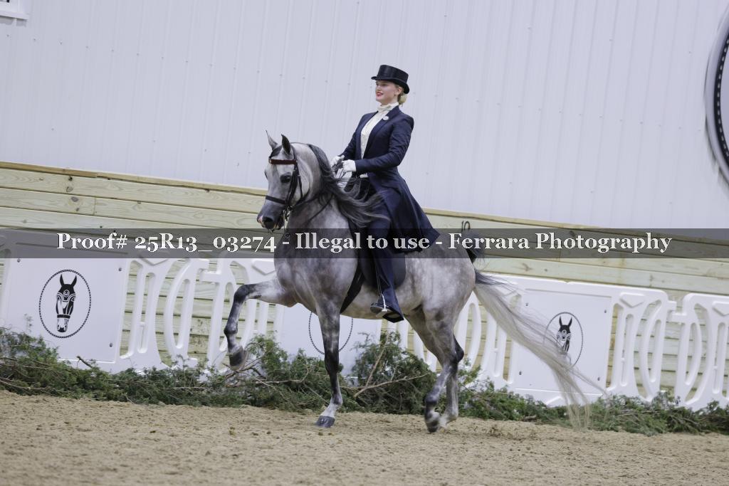 Proof Number 25R13_03274