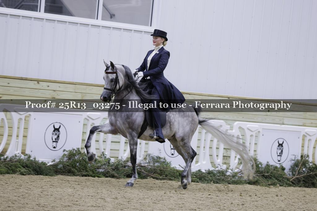 Proof Number 25R13_03275