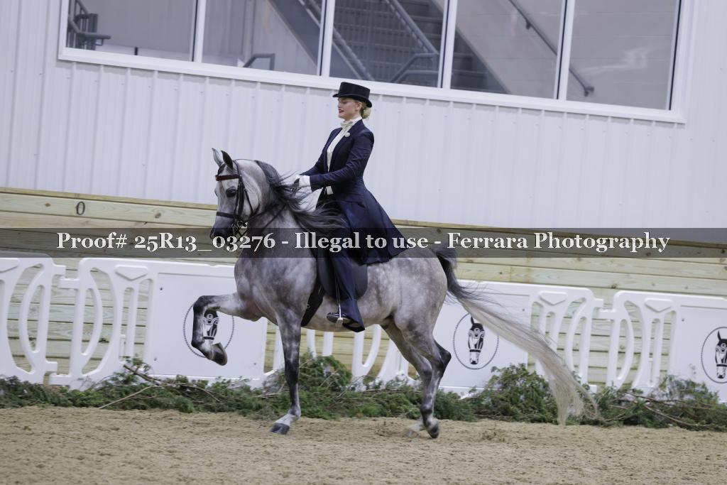 Proof Number 25R13_03276