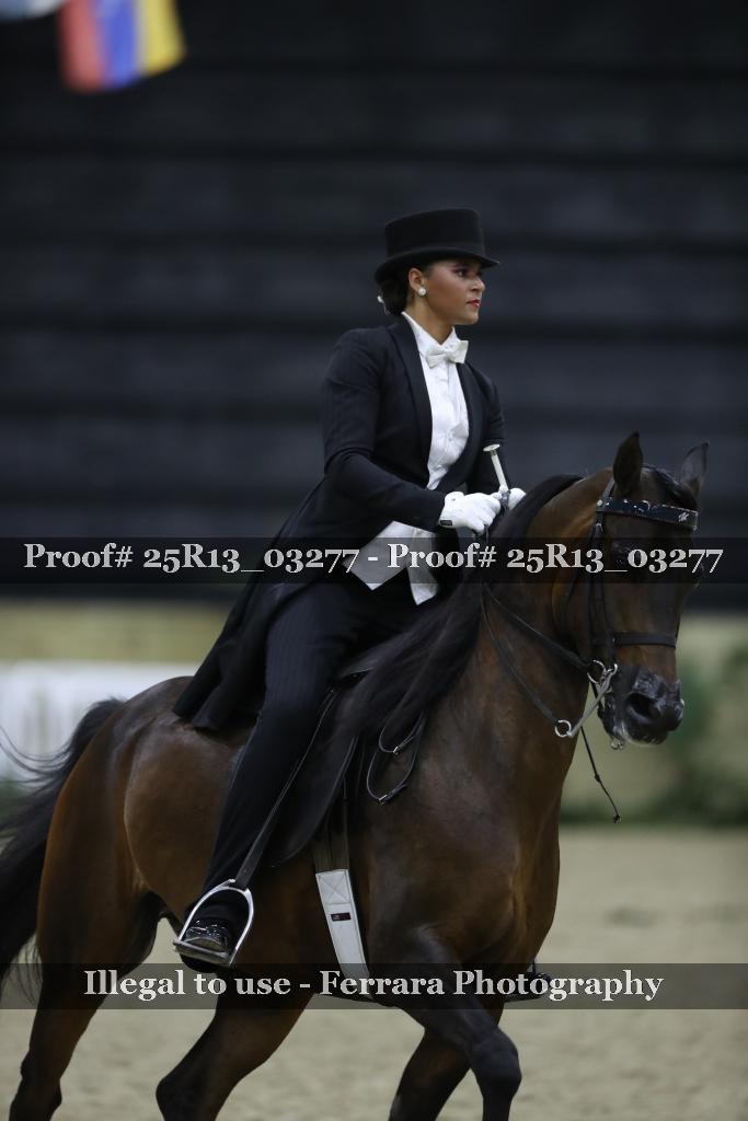 Proof Number 25R13_03277