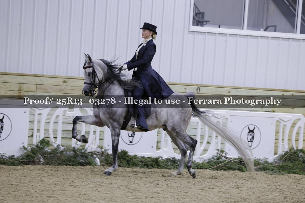 Proof Number 25R13_03278