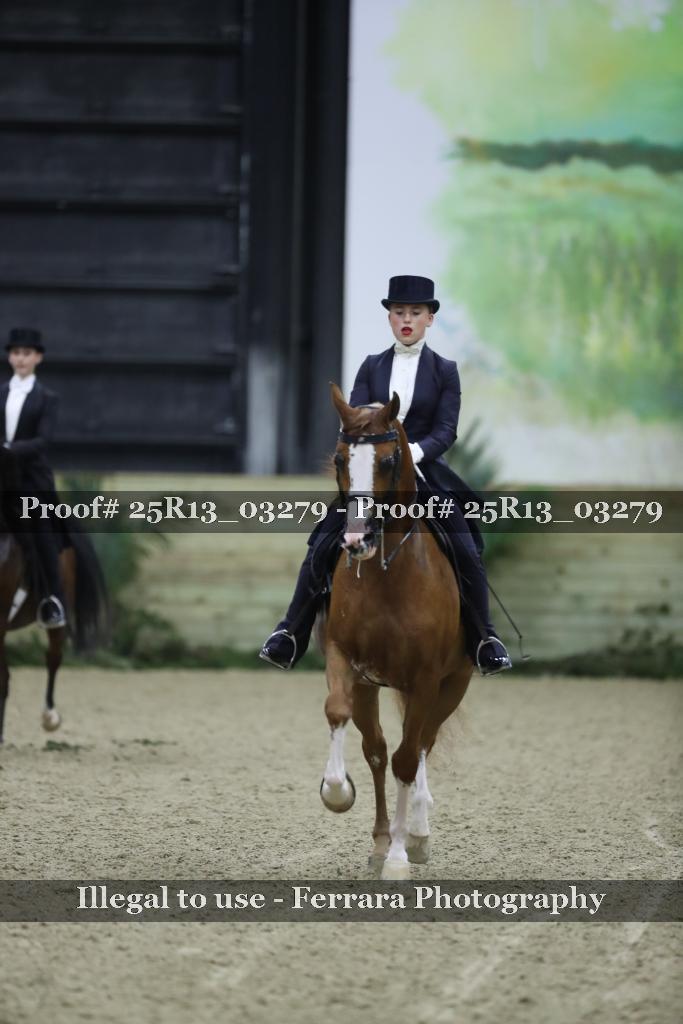 Proof Number 25R13_03279