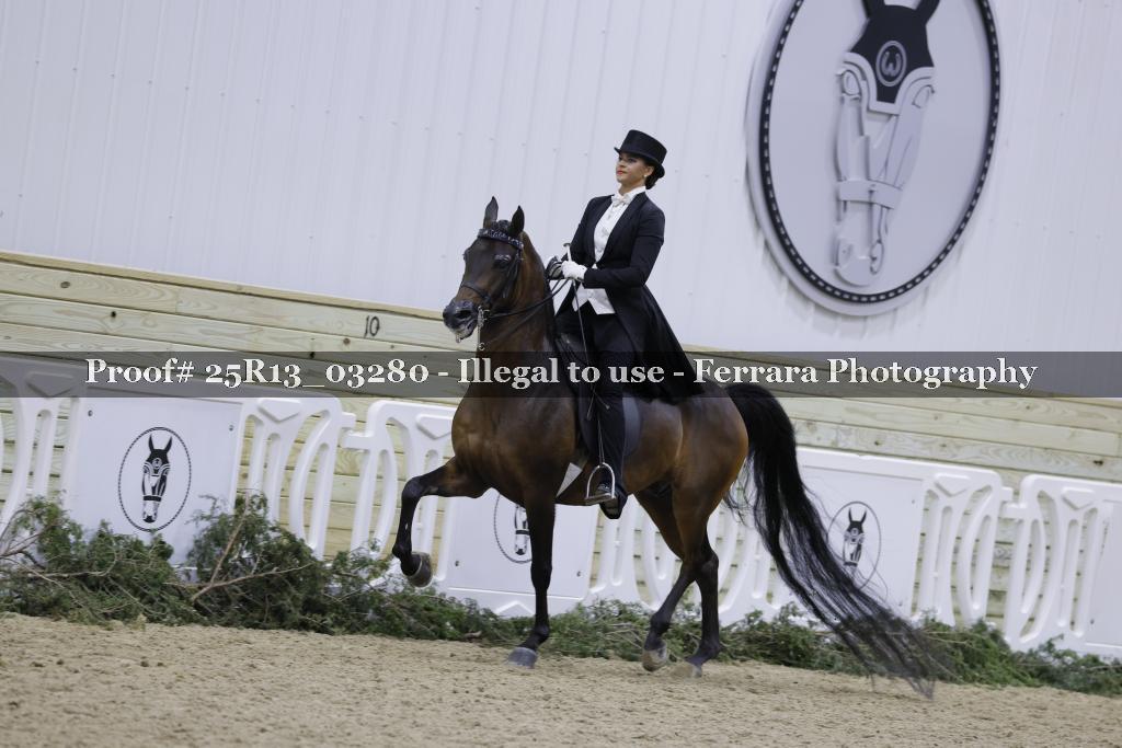 Proof Number 25R13_03280