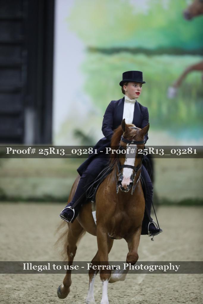 Proof Number 25R13_03281