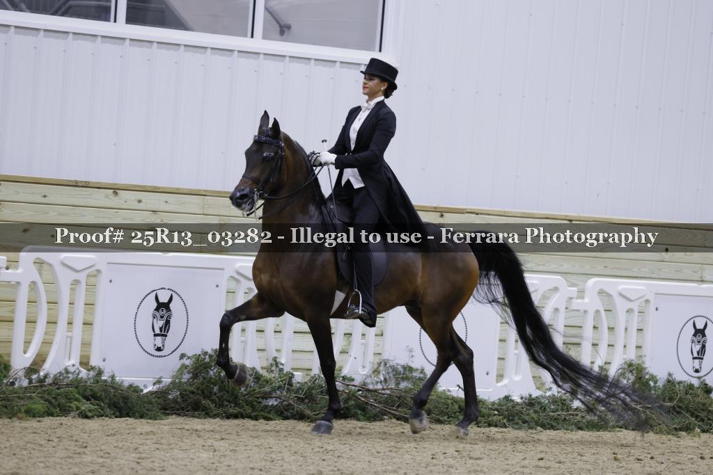 Proof Number 25R13_03282