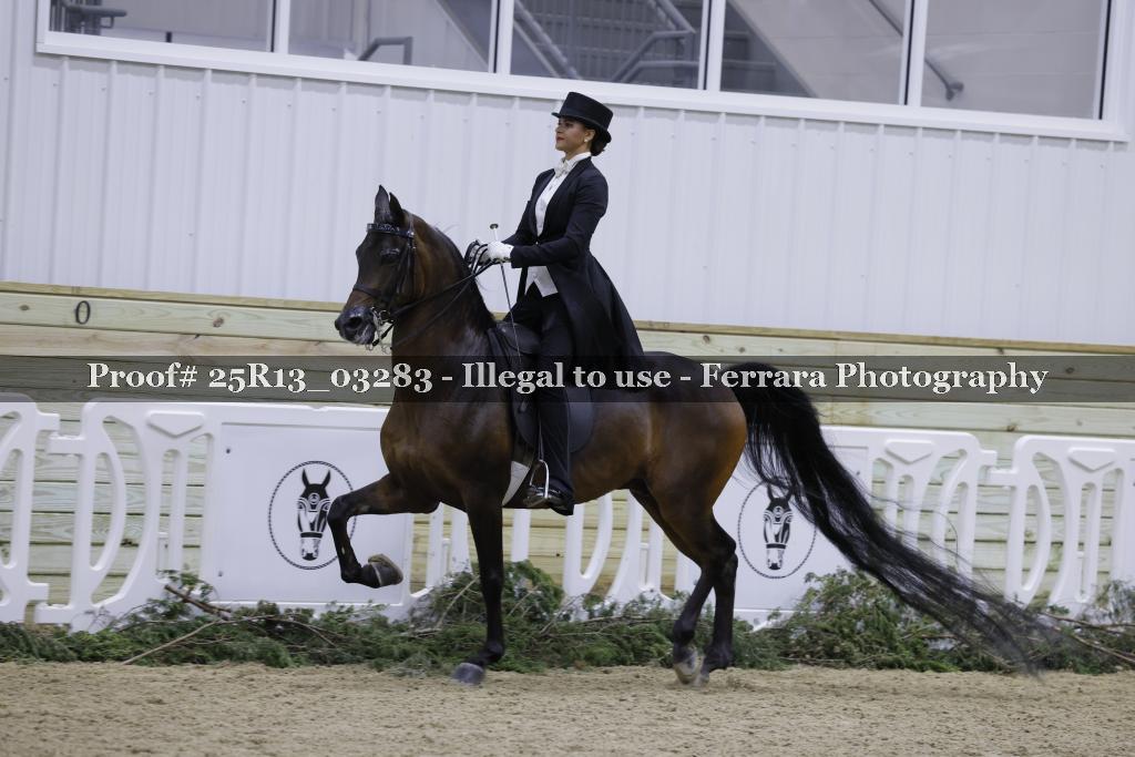 Proof Number 25R13_03283