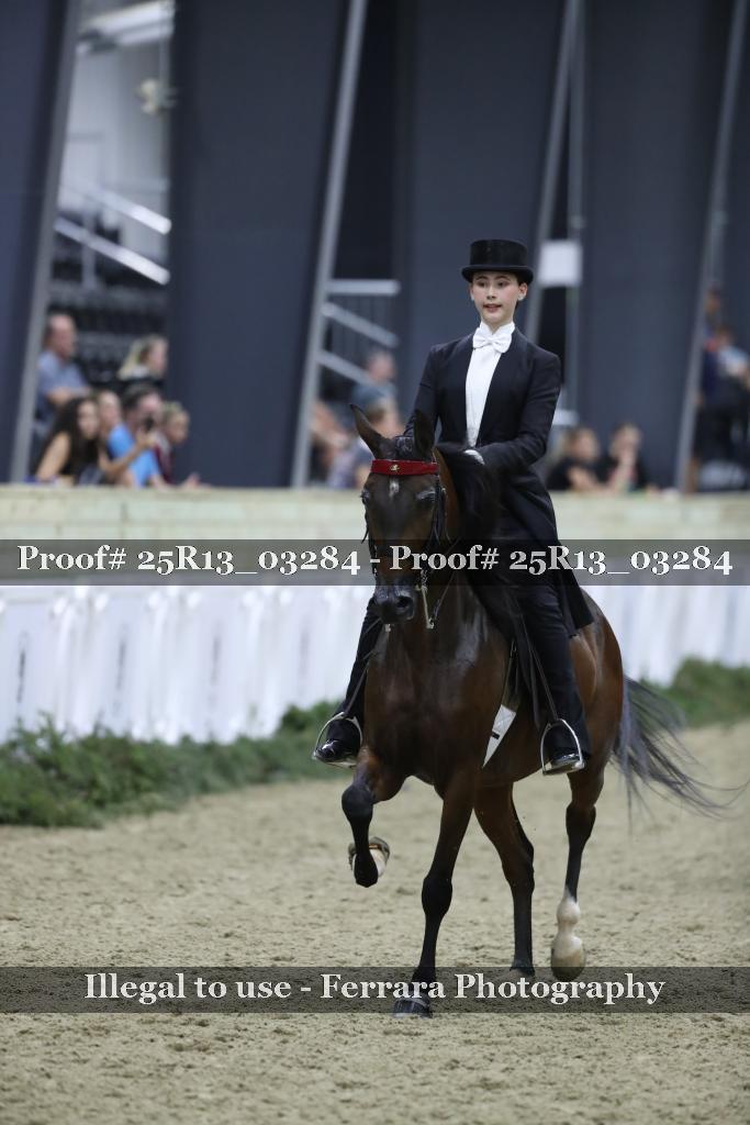 Proof Number 25R13_03284