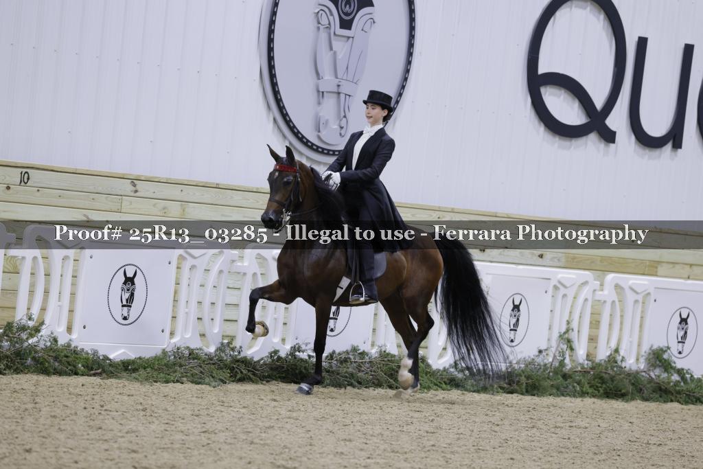 Proof Number 25R13_03285
