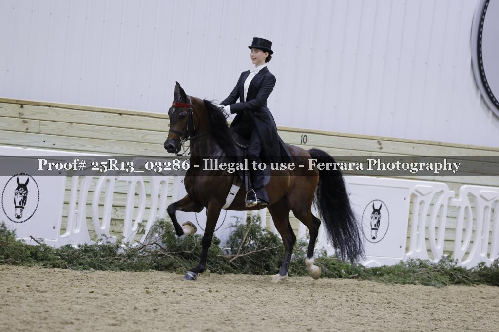 Proof Number 25R13_03286
