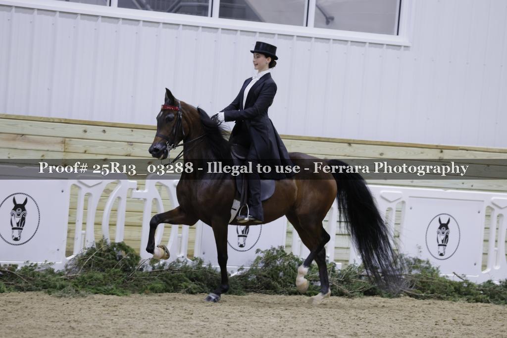 Proof Number 25R13_03288